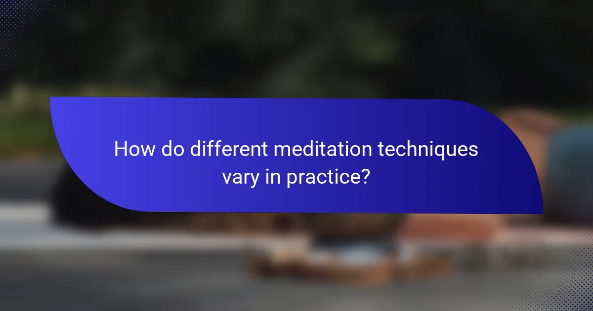How do different meditation techniques vary in practice?