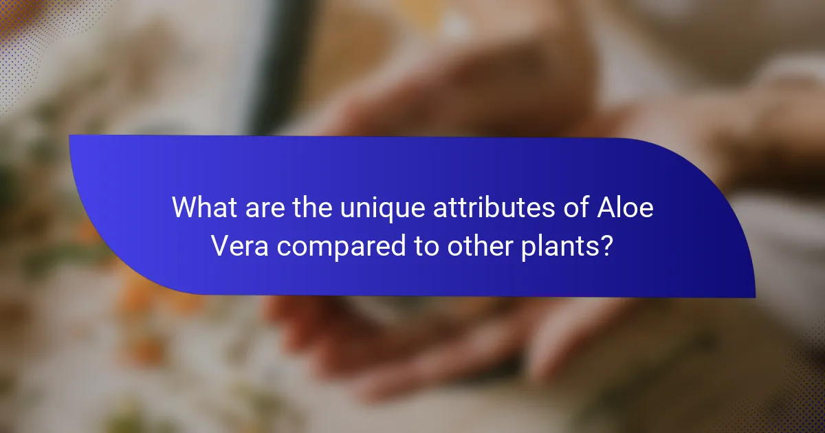 What are the unique attributes of Aloe Vera compared to other plants?