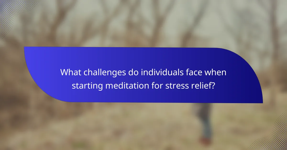 What challenges do individuals face when starting meditation for stress relief?