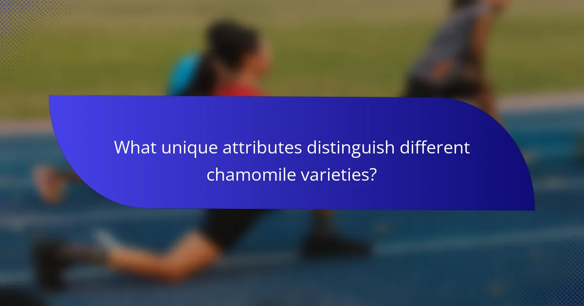 What unique attributes distinguish different chamomile varieties?